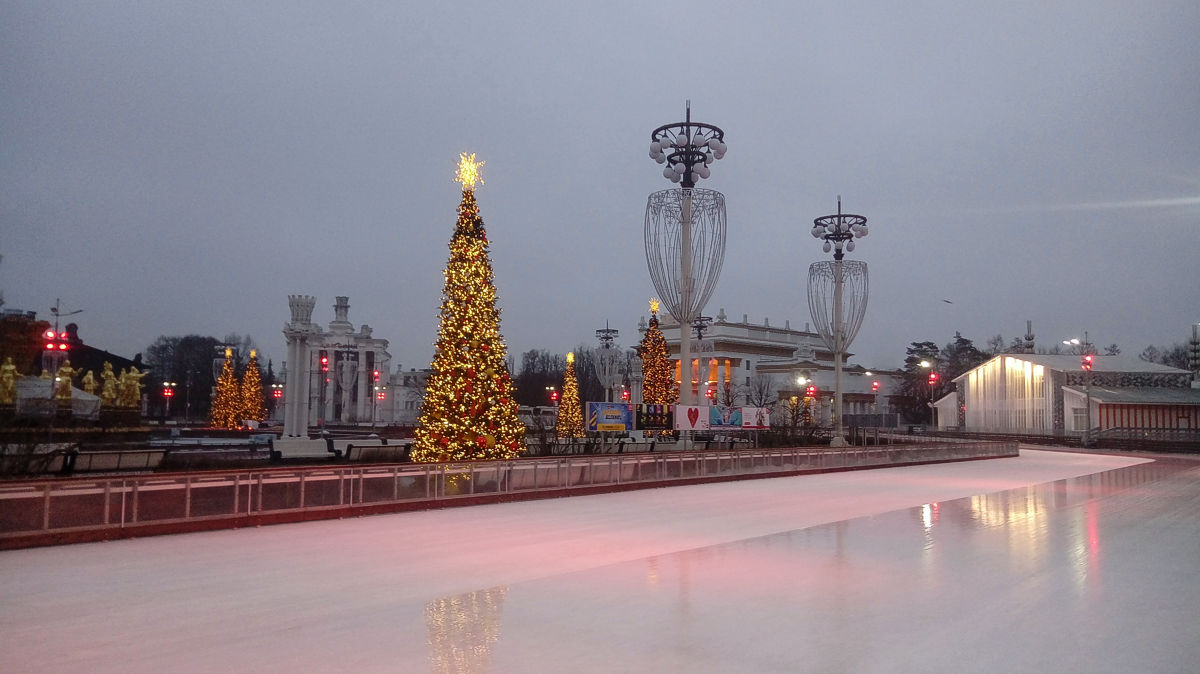 Ice rink at VDNH on a november morning in Moscow